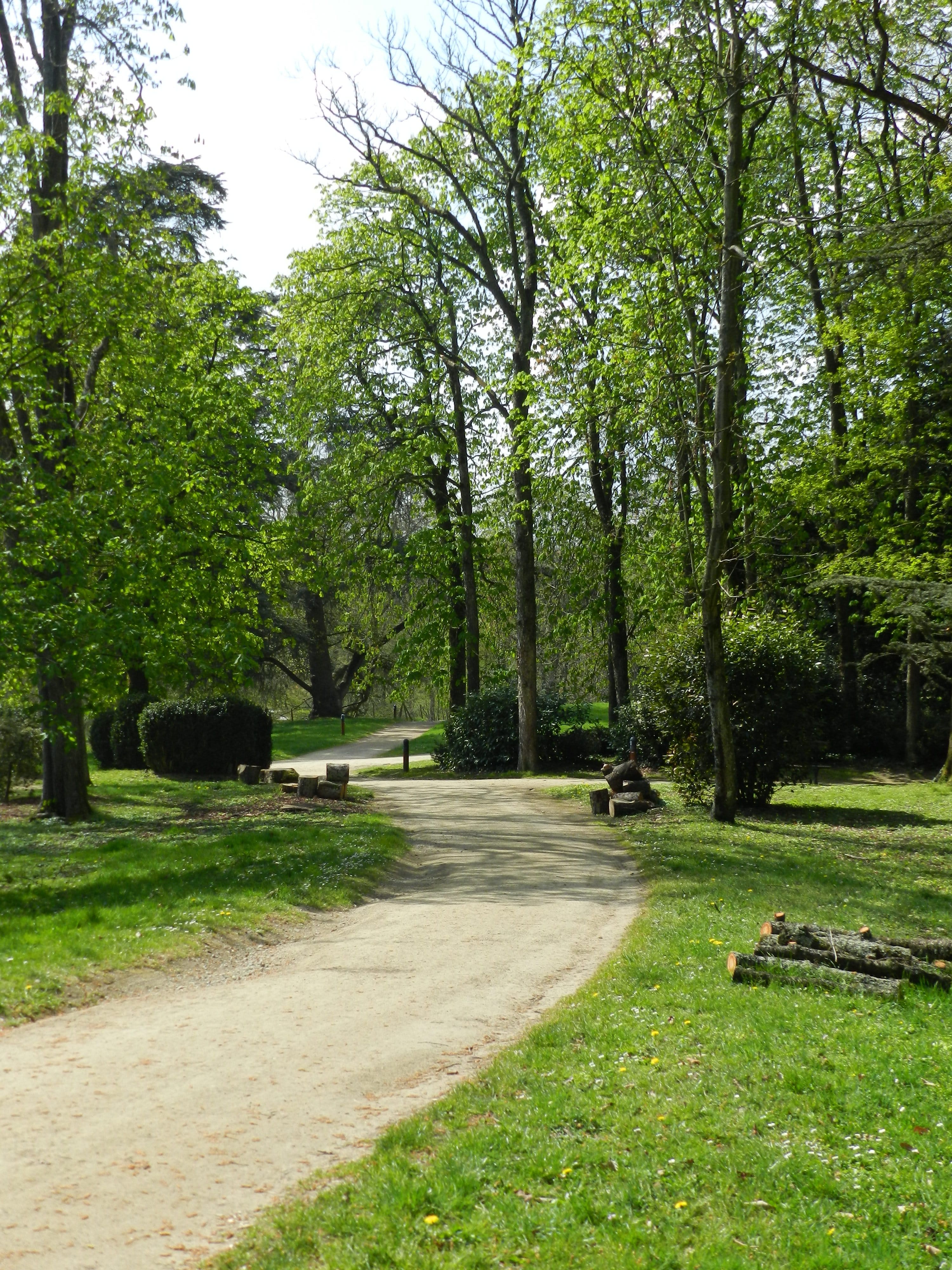 PARC ROCHETTE (2)